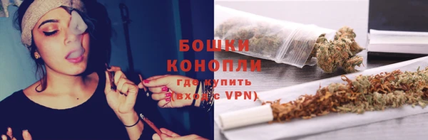 гидра Костерёво