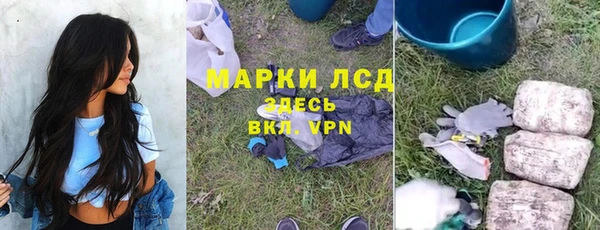 гидра Костерёво